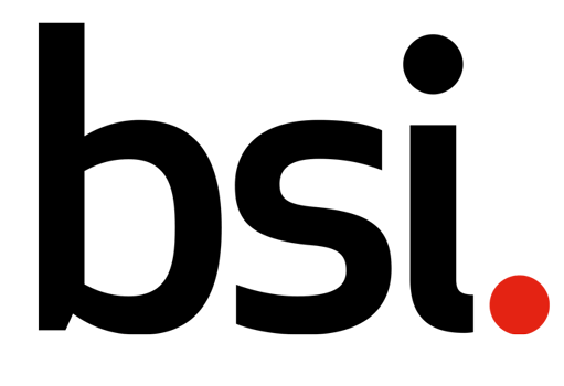 British Standard Institute
